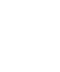 light logo